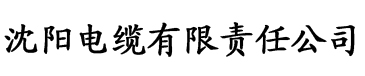 亚洲香蕉黑人网电缆厂logo